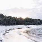 The Beach Studio