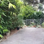 Dolphin Cottage Garden Studio