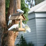Jervis Bay Love Shack