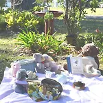 Casa Husky