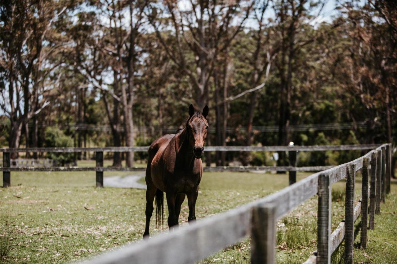 Resort Worrowing Jervis Bay Huskisson