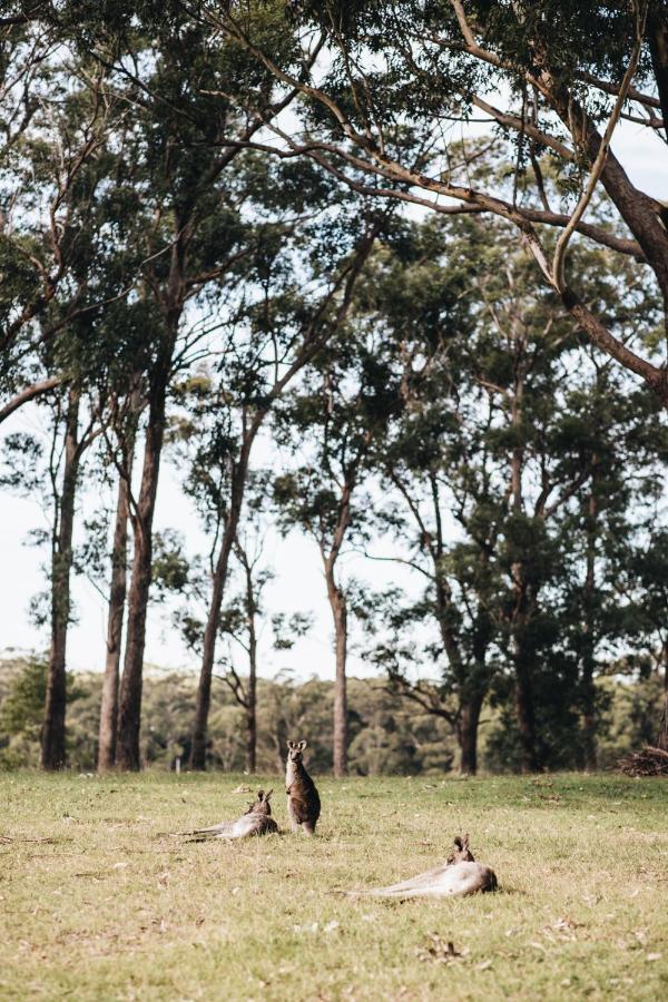 Resort Worrowing Jervis Bay Huskisson