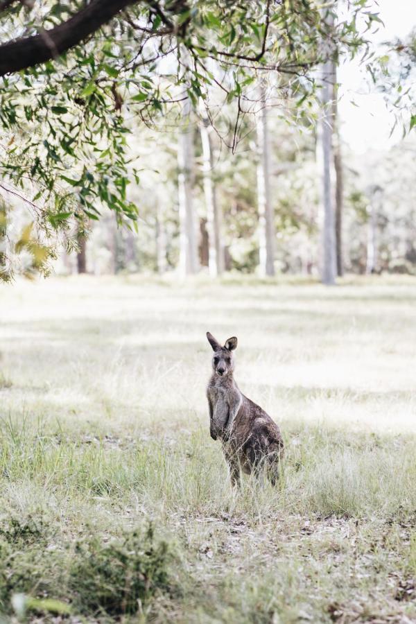 Resort Worrowing Jervis Bay