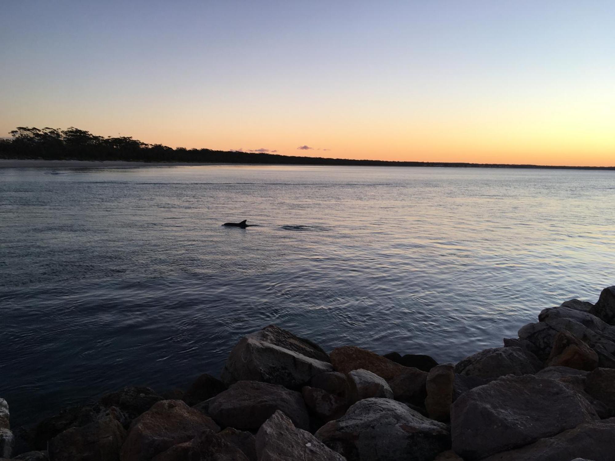 Jervis Bay Motel 4*