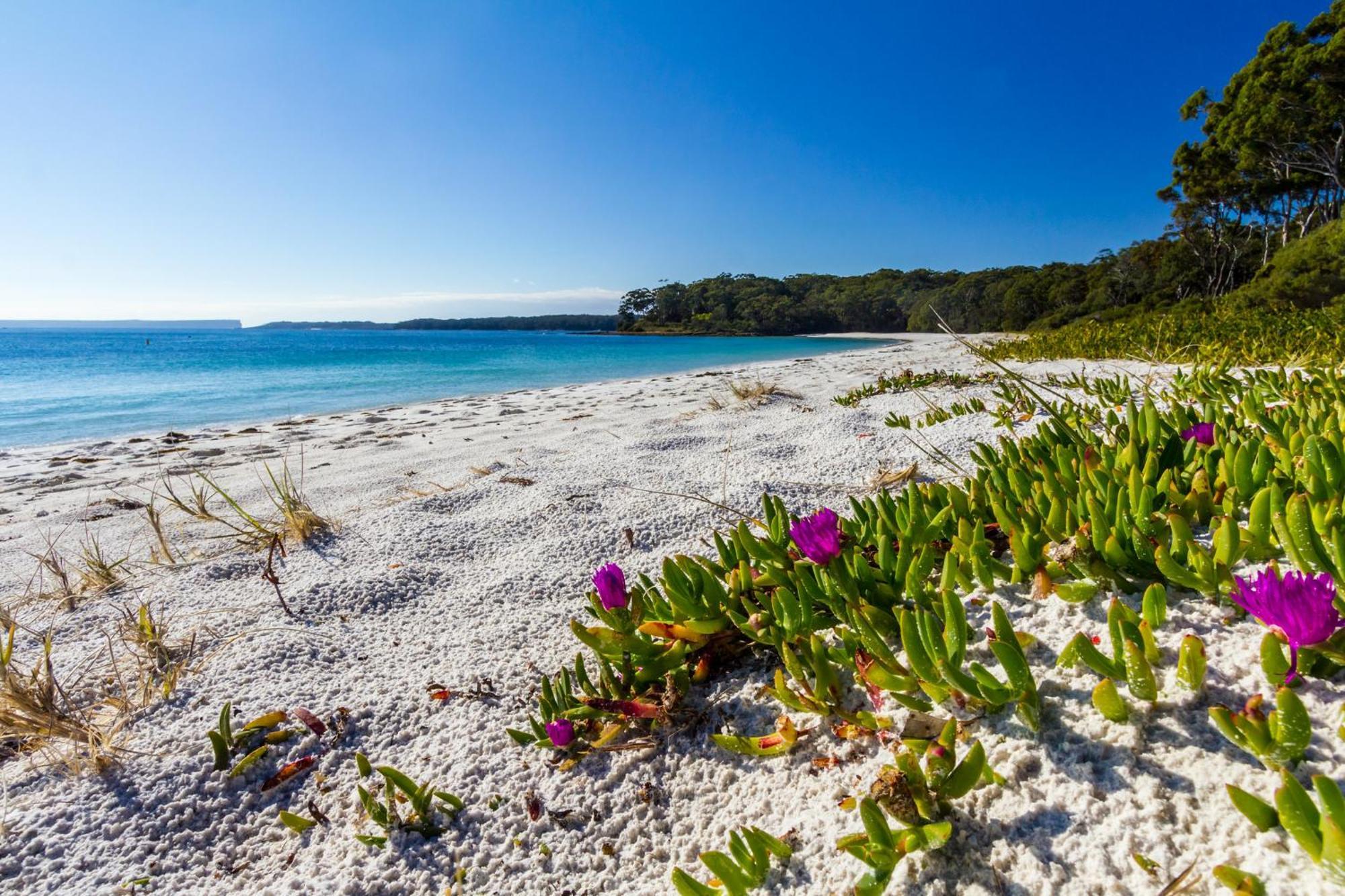 Holiday home Bay And Bush Jervis Bay Huskisson