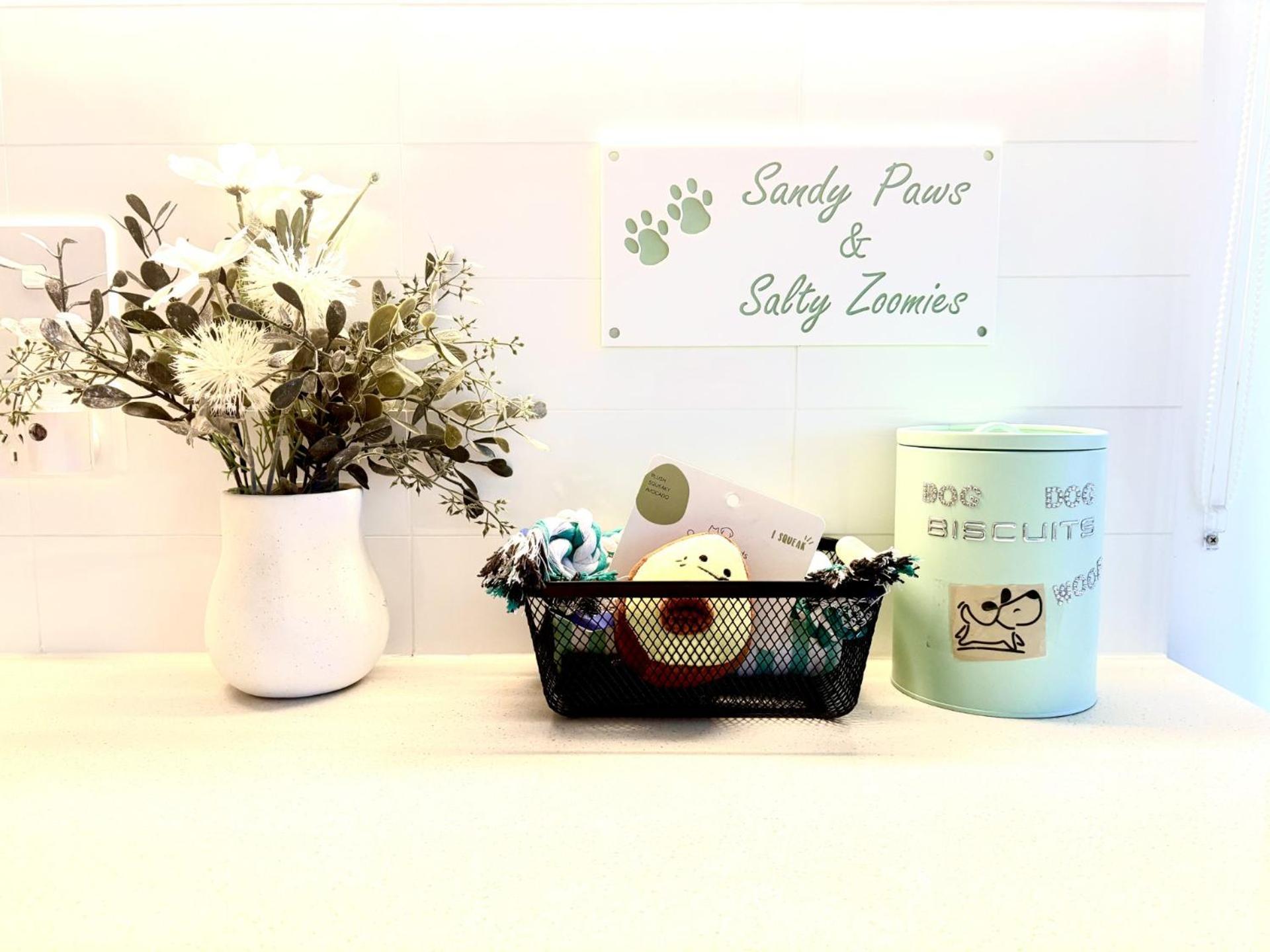 Sandy Paws And Salty Zoomies Apartment