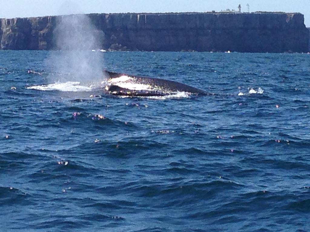 Jervis Bay Mariners 4* Huskisson