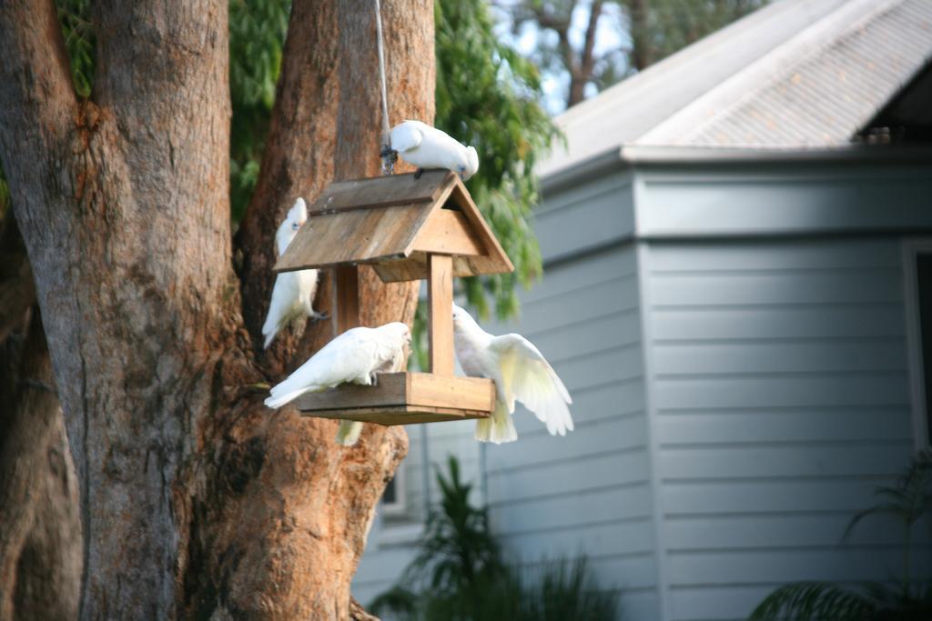 Jervis Bay Love Shack Holiday home