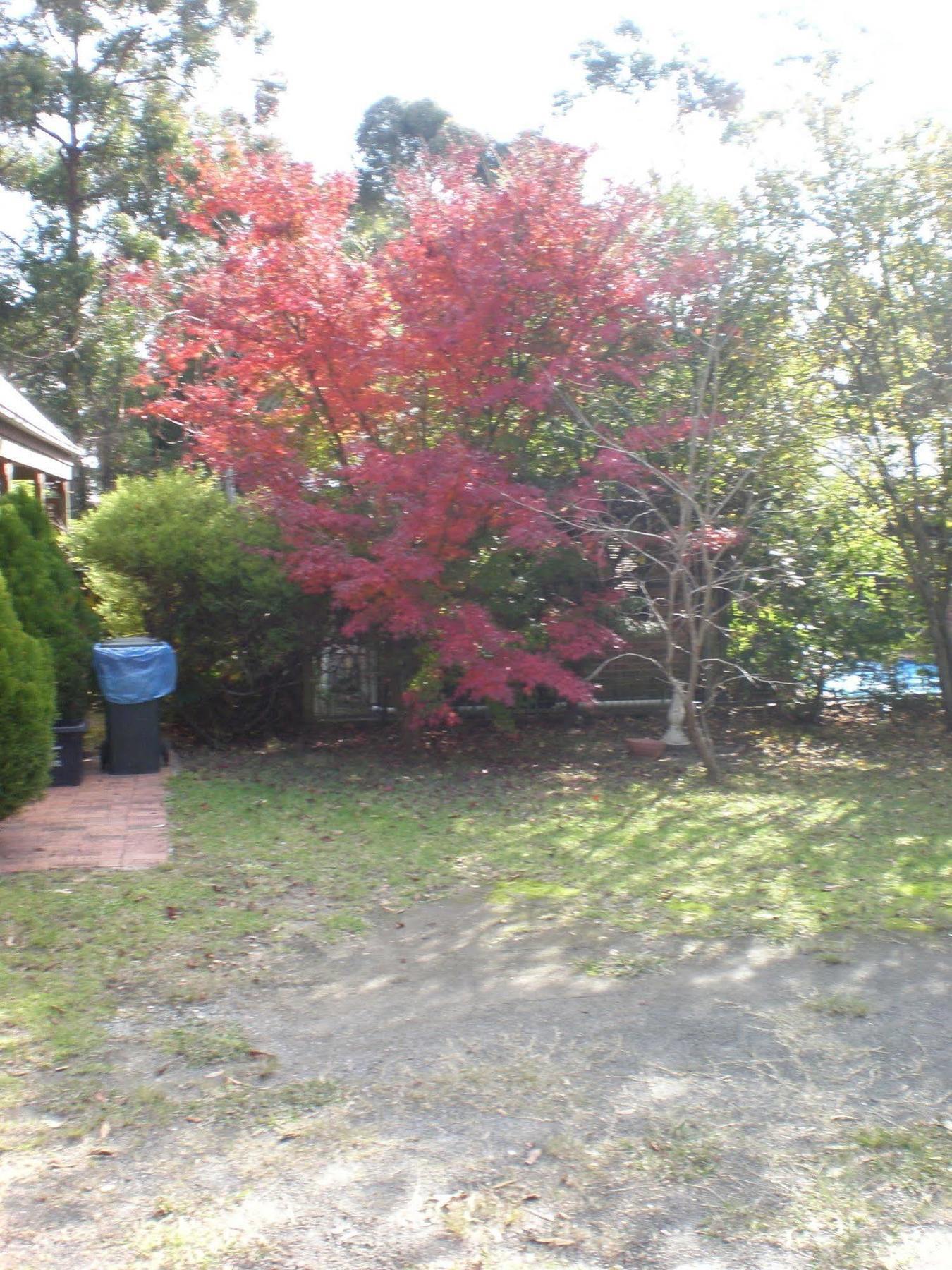 Bay And Bush Jervis Bay Holiday home