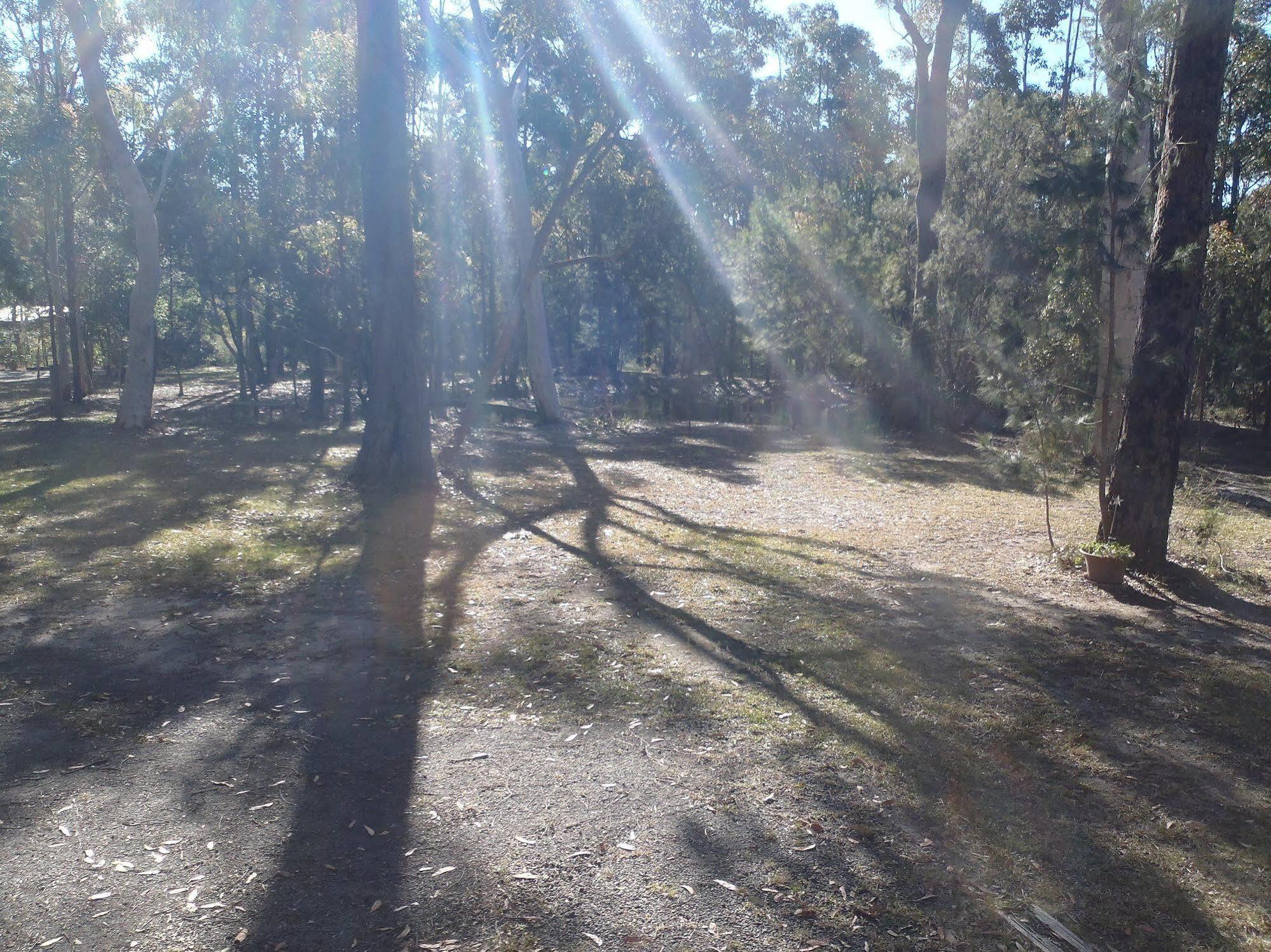 Bay And Bush Jervis Bay *