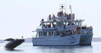 Hotel Jervis Bay Getaways Huskisson