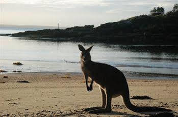 Jervis Bay Getaways