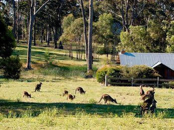 Jervis Bay Getaways