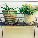 Huskisson Bed And Breakfast