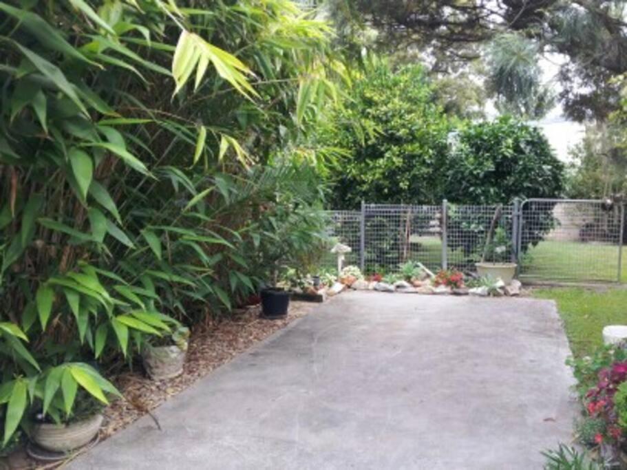 Dolphin Garden Apartment *