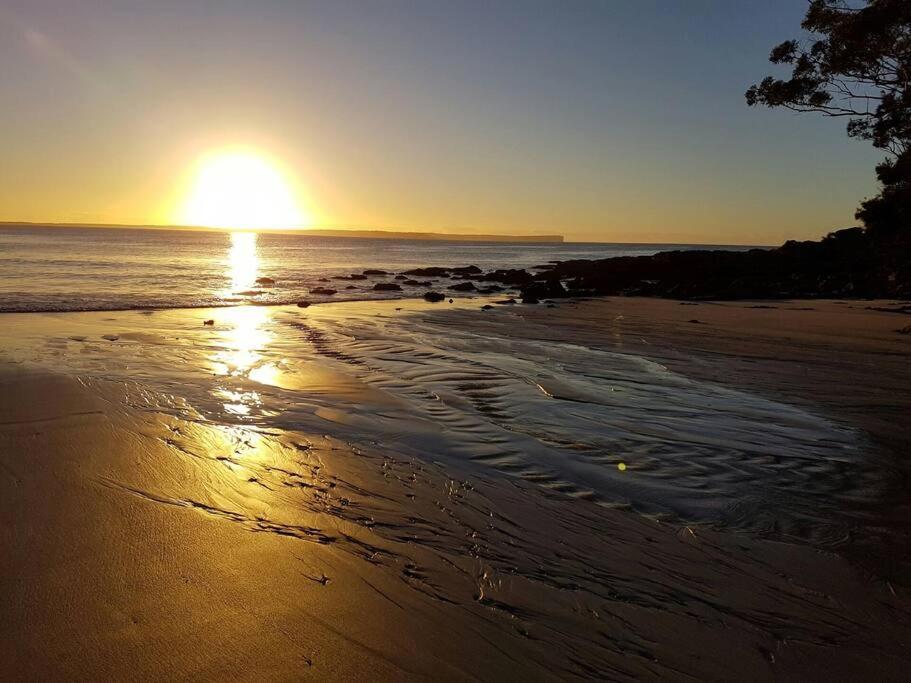Dolphin Garden Huskisson
