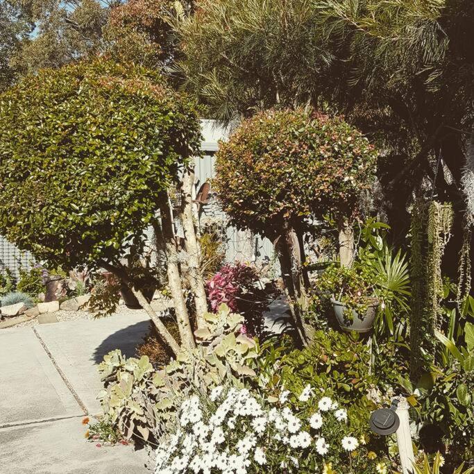 Dolphin Garden Apartment Huskisson