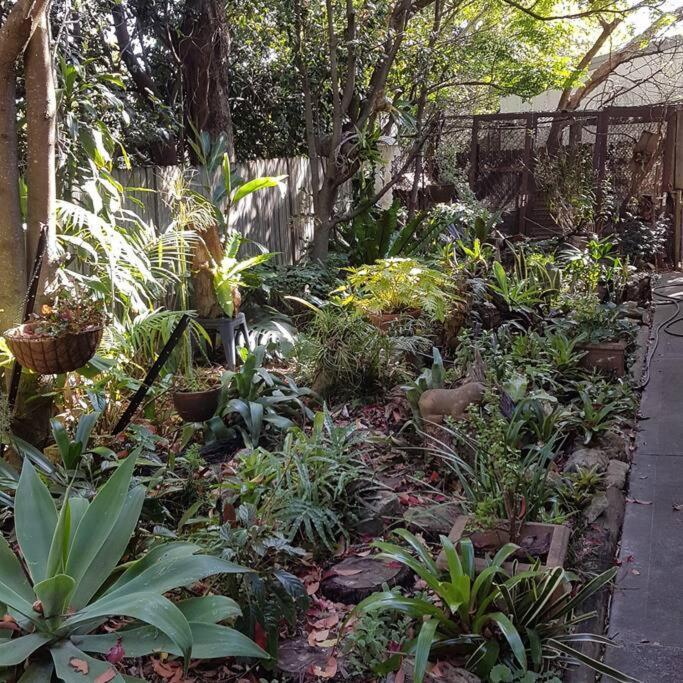 Dolphin Garden * Huskisson