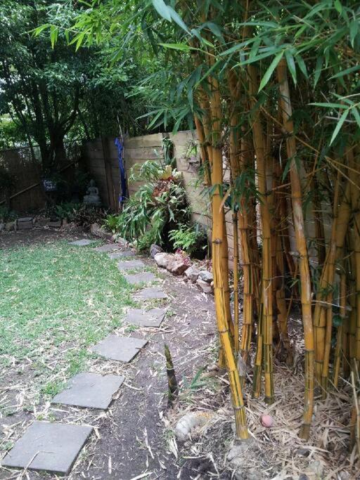 Dolphin Garden Apartment