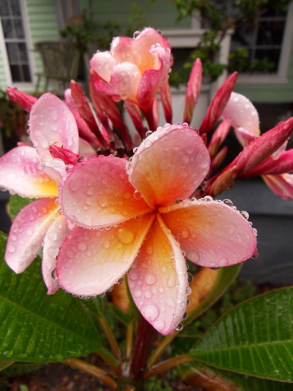 Huskisson Bed And Breakfast 4* Huskisson