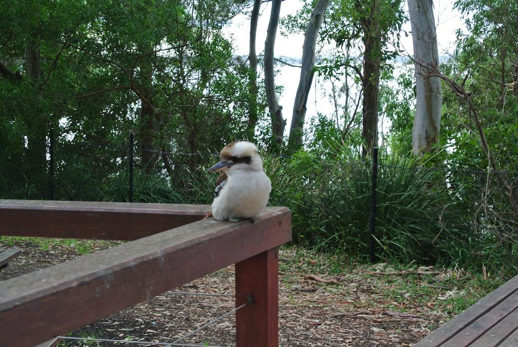 Huskisson Beach Motel