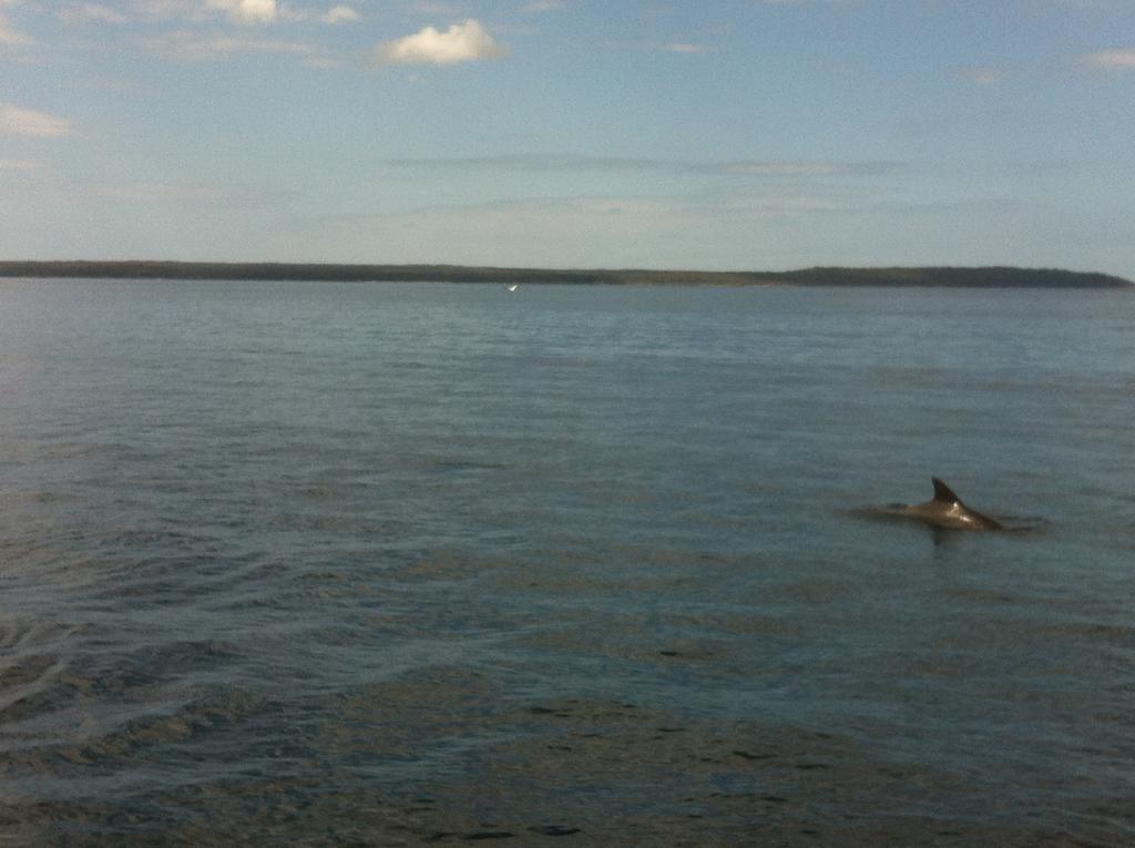 Huskisson Beach Motel Motel 3*